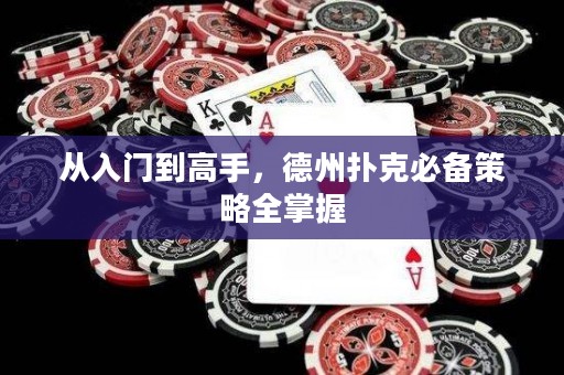 从入门到高手，德州扑克必备策略全掌握