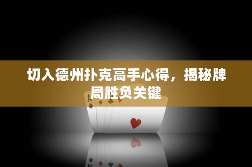 切入德州扑克高手心得，揭秘牌局胜负关键