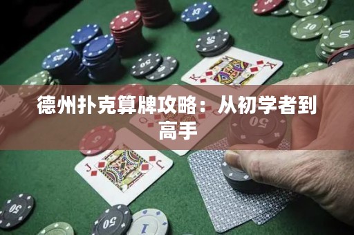 德州扑克算牌攻略：从初学者到高手