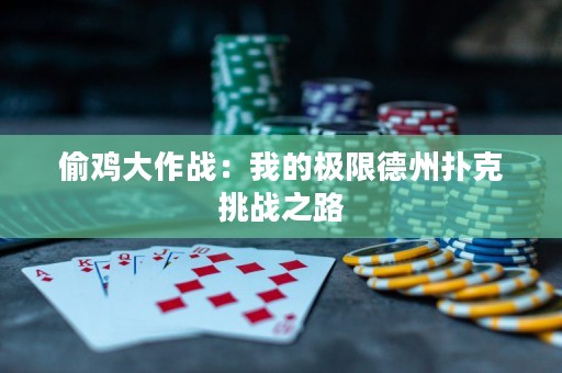 偷鸡大作战：我的极限德州扑克挑战之路