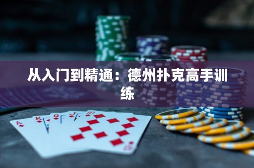 从入门到精通：德州扑克高手训练